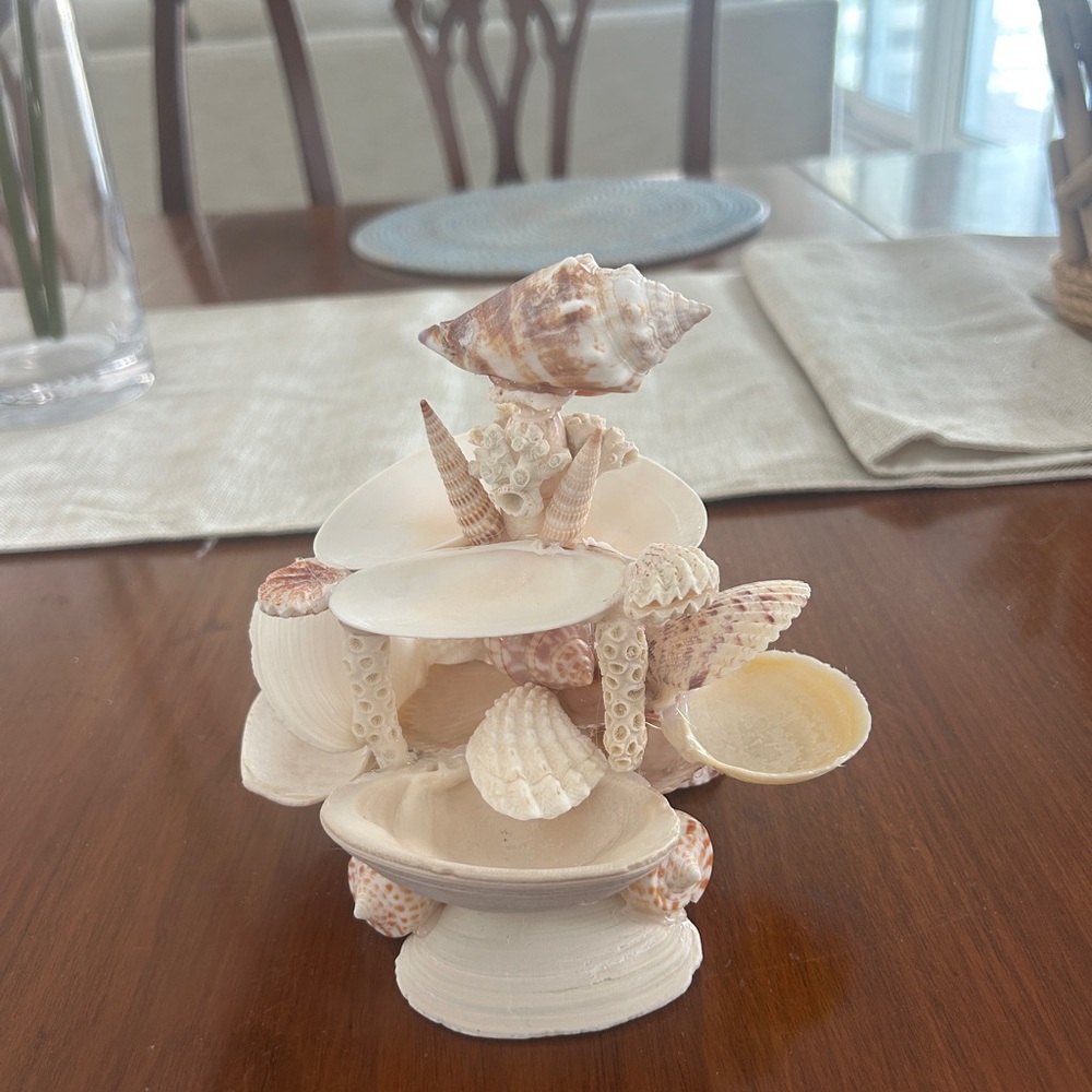 Seashell Jewelry Organizer